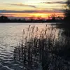 Suzanne Forest - @suzanne.forest - TikTok