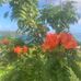 Suzanne Forsyth - Facebook