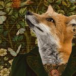 Suzanne Fox - @storyfoxstudio - Instagram
