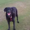 Suzanne Fox - @suzanne.fox - TikTok