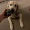 Suzanne Fox - @suzannefox4 - TikTok