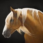 Suzanne Frederick - @suzanne.frederick.art - Instagram
