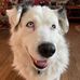 Suzy Frederickson - Facebook