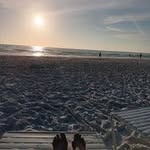Suzanne Fuller - @suzannefuller292 - Instagram