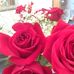 Suzanne Gale - Facebook