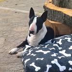 suzanne gales - @gales.suzanne - Instagram
