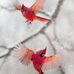 Suzanne Galvin - Facebook