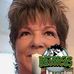 Suzanne Gagnon - Facebook