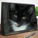 Suzanne Gammond - Facebook