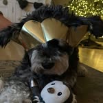 Suzanne Gardiner - @suzigardiner - Instagram