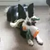 Suzanne Garner - @suzanne.garner2 - TikTok