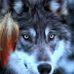 Suzanne Garner - Facebook