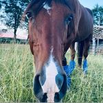 Pamela Suzanne Garrison - @mycrazyendurancelife - Instagram