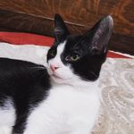 Suzanne Garrison - @acciosuzer - Instagram
