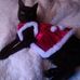 Suzanne Garrison-Terry - Facebook