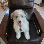 Suzanne Gauthier - @sccg13021 - Instagram
