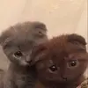 suzannegerman131 - @suzannegerman131 - TikTok