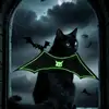 Suzanne Giles Boenker - @suzanne.giles.boe8 - TikTok