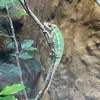 Suzanne Giles - @suzanne.giles - TikTok