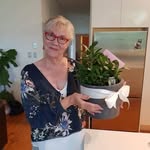 Suzanne Giles Hendry - @suzanne.gileshendry.39 - Instagram