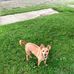 Suzanne Gillespie - Facebook