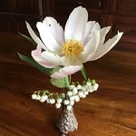 Suzanne Godfrey - @suzieq53_ - Instagram