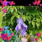 Suzanne Goins - Facebook