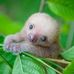 Suzanne Goins - Facebook