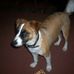 Suzanne Gooding - Facebook