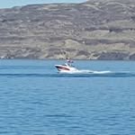 suzanne gooding - @suzannegooding999 - Instagram