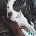 Suzanne Graff - Facebook