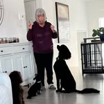 Suzanne Grenier - @sgrenier2830gmailcom - Instagram