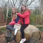 Suzanne Guest - @suzanne_guest - Instagram
