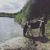 Suzanne Guest - @suzanne.guest - TikTok