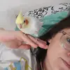 Suzanne Guest - @user862266819 - TikTok