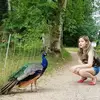 Hayley - @haileysuzanneclar - TikTok
