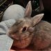 Jessica Suzanne Harden - Facebook