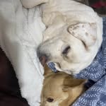 Suzanne Harden Knapp - @skapp2yahoocom - Instagram