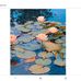 Suzanne Harding - Facebook