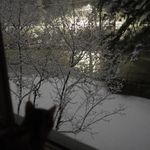 Suzanne - @hare_suzanne - Instagram