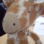 Suzanne Hare - @suz_scottinghare - Instagram