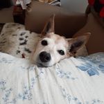 Suzanne Harman - @andersonsuzanne220 - Instagram