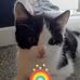 Suzanne Harman - Facebook