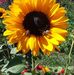 Suzanne Hartmann - Facebook