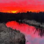 Sue Norm Haskins - @suzanne.haskins - Instagram