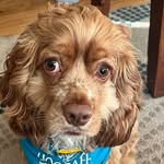 Suzanne Healy DiTacconi - @sd4602 - Instagram