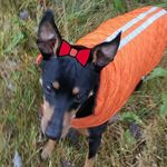 Suzanne Hebert - @suzannehebert4310 - Instagram