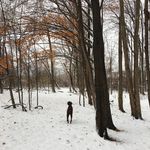 Suzanne Hedges - @suzanne.hedges - Instagram