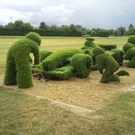 Suzanne Hedges - @suzannehedges - Instagram