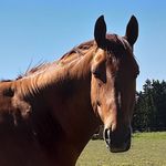 Suzanne Helmsäter - @suzannehelmsater - Instagram